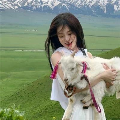 熊出没重启未来